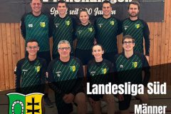 011_Maenner_Faustball2025