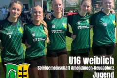 031_U16_Cover_Faustball2025