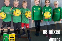 071_U8_Cover_Faustball2025