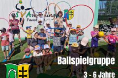 081_BSG_Cover_Faustball2025